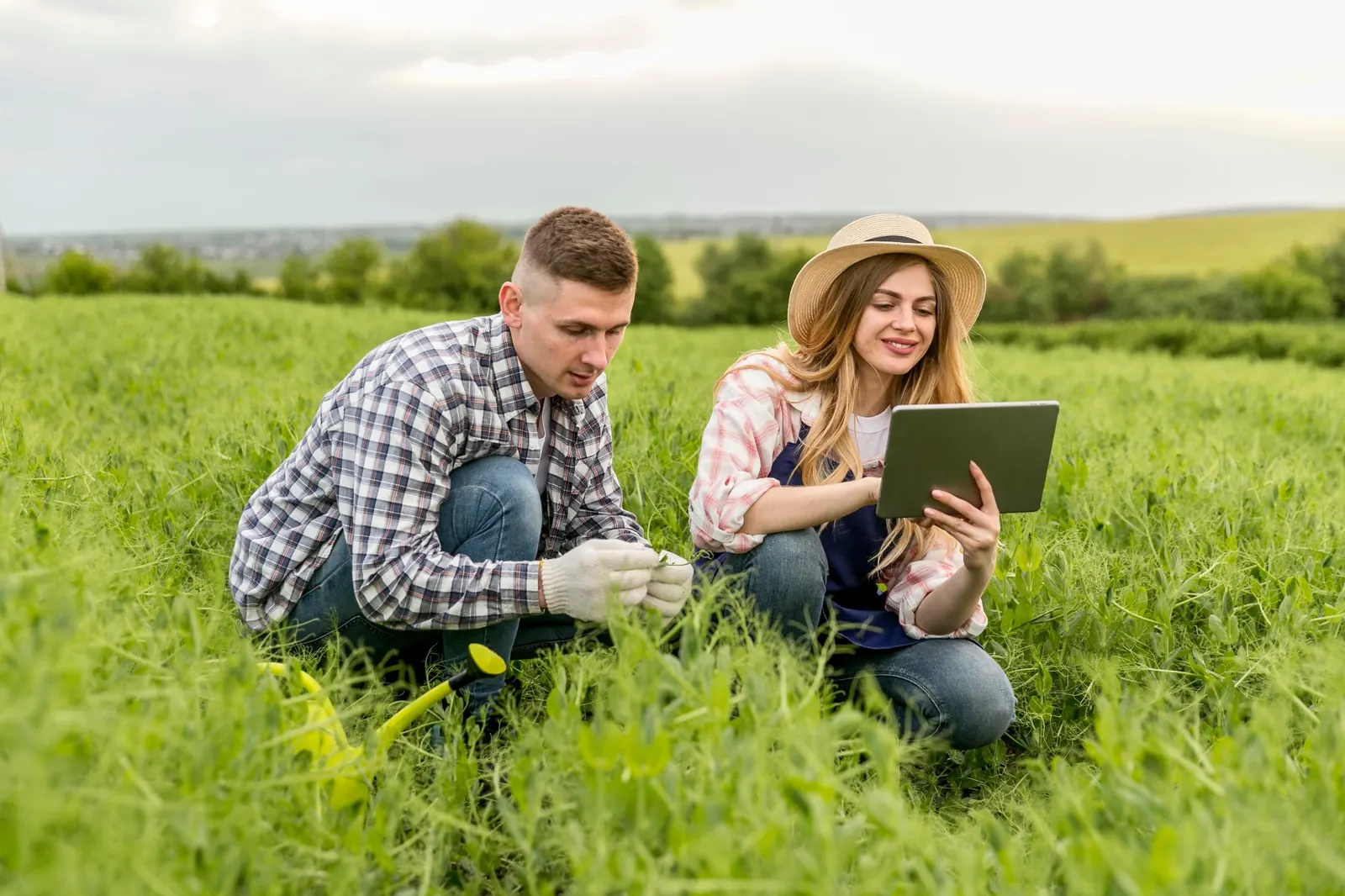 Digital agriculture and precision farming